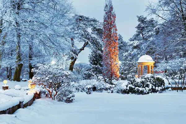 Außenbereich im Winter Ein verschneiter Park mit einem Pavillon und Bäumen.