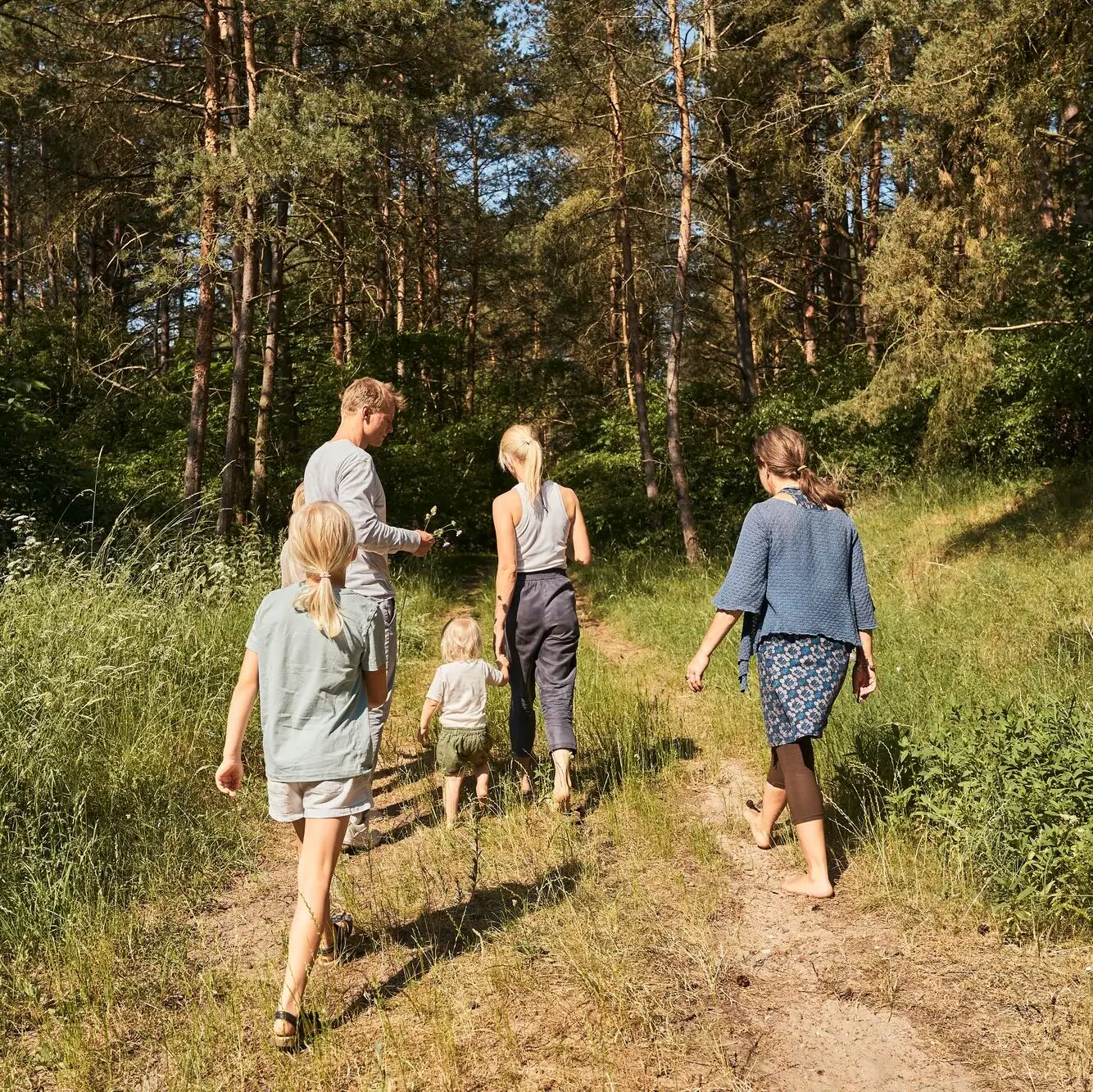 Eine Gruppe von Menschen, die auf einem Pfad im Wald spazieren geht.