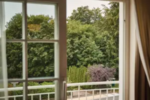 Blick auf Bäume durch ein Fenster