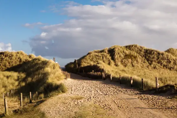 Weg in die Dünen
