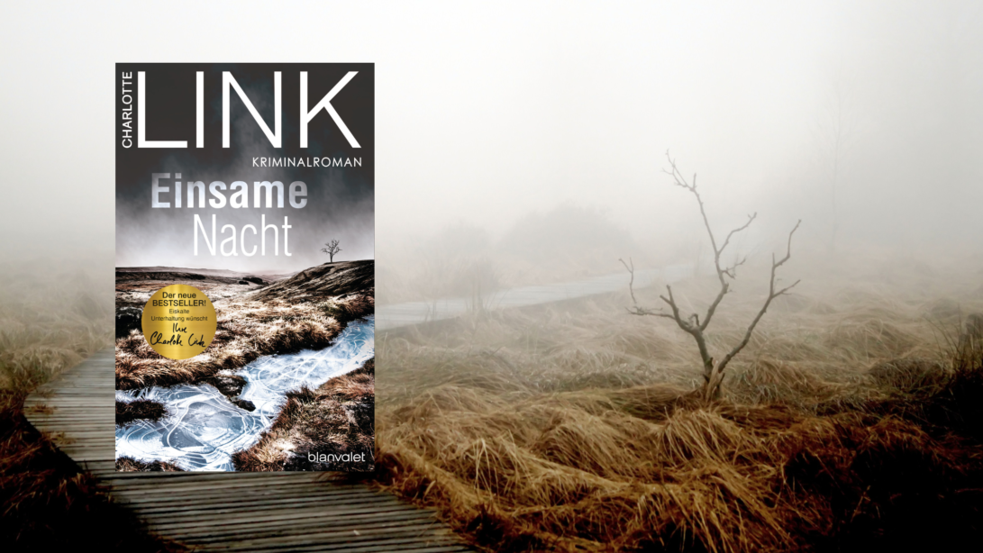 Man Sieht eine neblige Moorlandschaft und das Cover des Buches "Einsame Nacht" von der Autorin Charlotte Link.