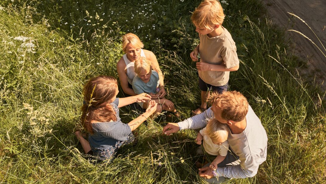 Drei Erwachsene sitzen mit drei Kindern in einer Wiese und pflücken Gräser und Blumen